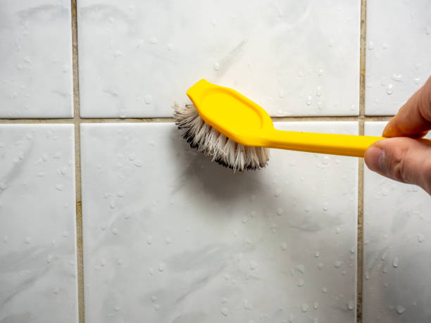 Best Residential Mold Remediation in Lake Wildwood, CA