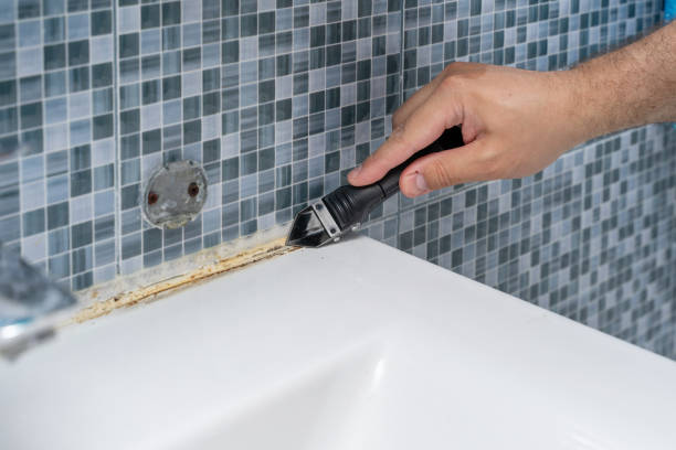 Reliable Lake Wildwood, CA Mold Remediation Solutions