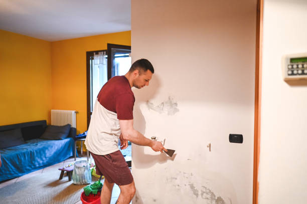 Best Insurance-Related Mold Remediation in Lake Wildwood, CA